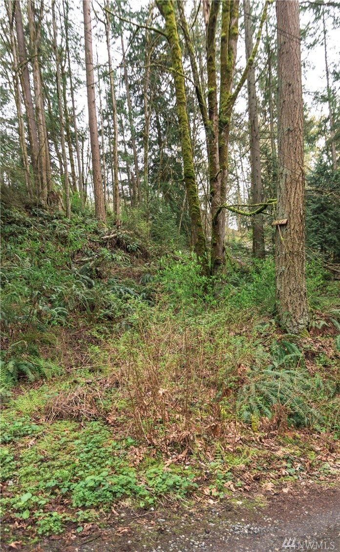 1831 Sleepy Hollow Ln, Bellingham, WA 98226 - photo 1