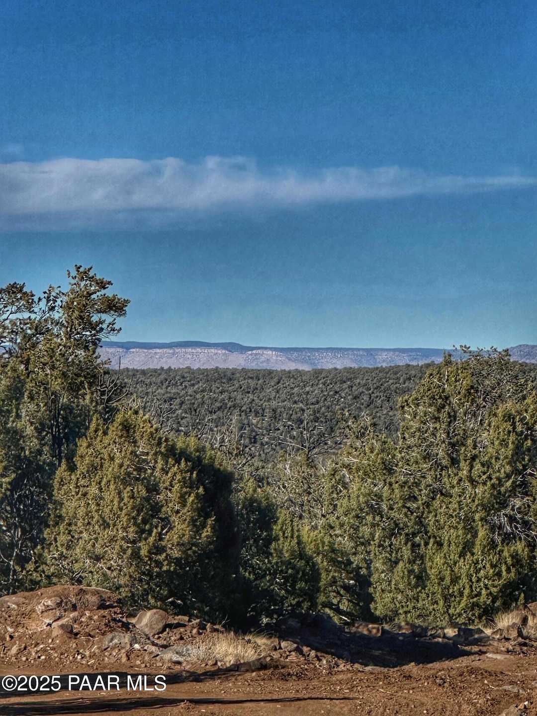 01 N Boulder Ridge, Seligman, AZ 86337 - photo 1