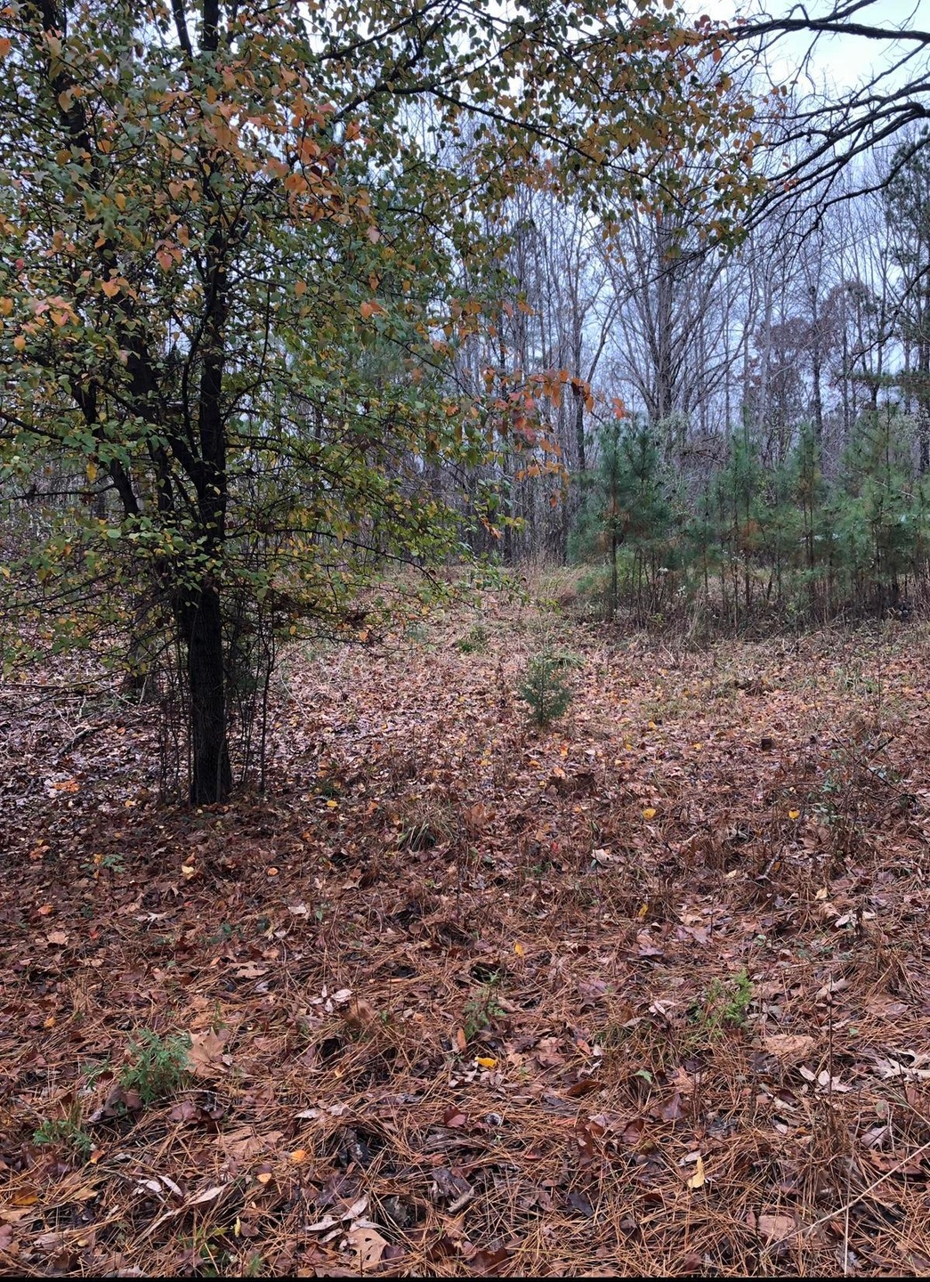 6EFF7120-68AF-41F6-9080-78EBC94B2F6C