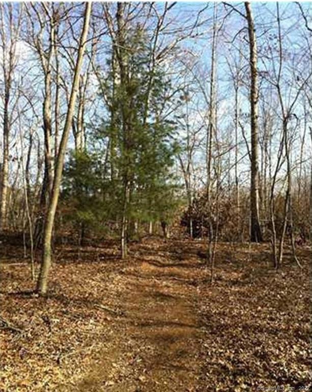 0 Providence New London Tpk unit 170343115, North Stonington, CT 06359 - photo 1