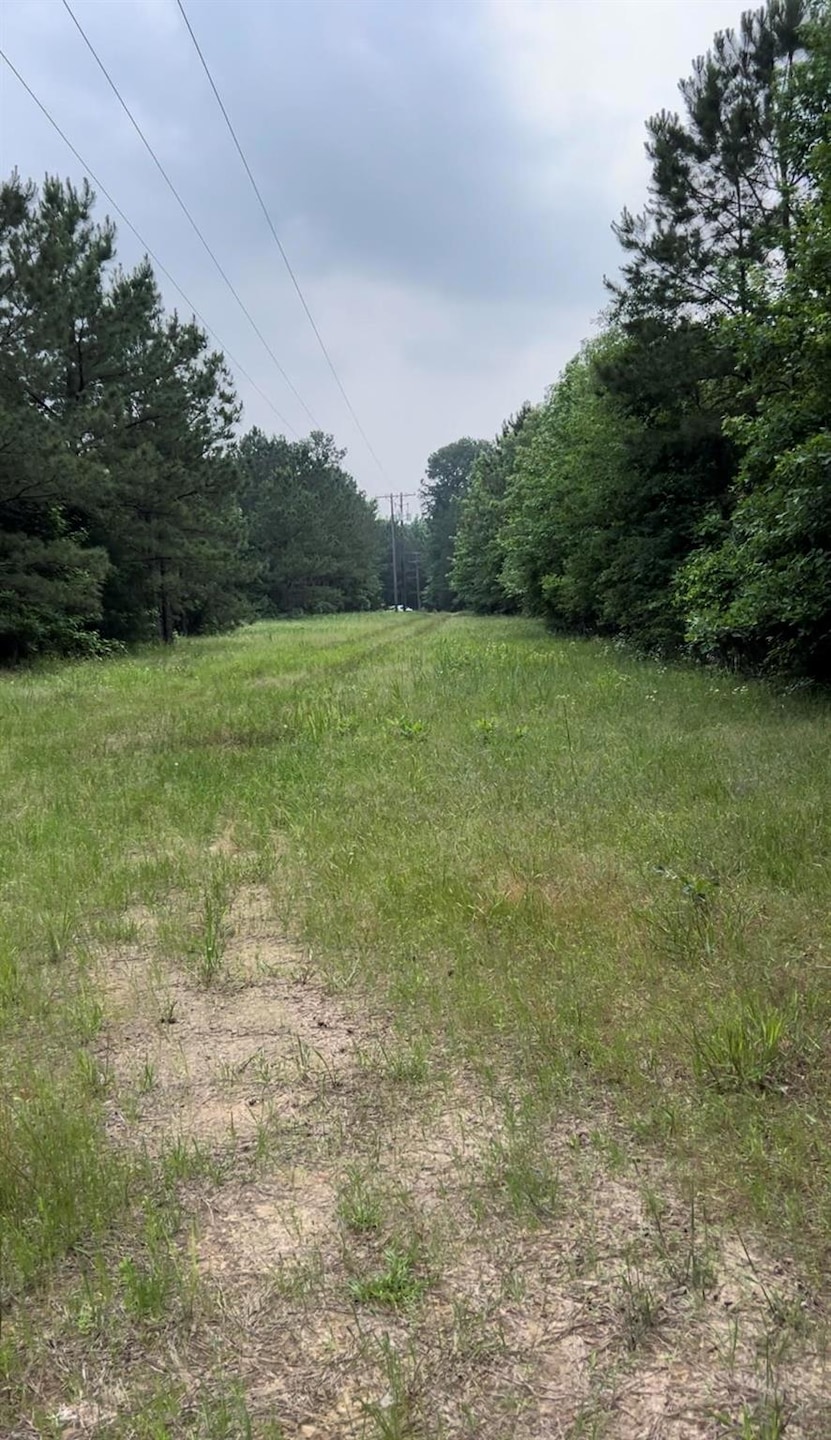 View of local wilderness