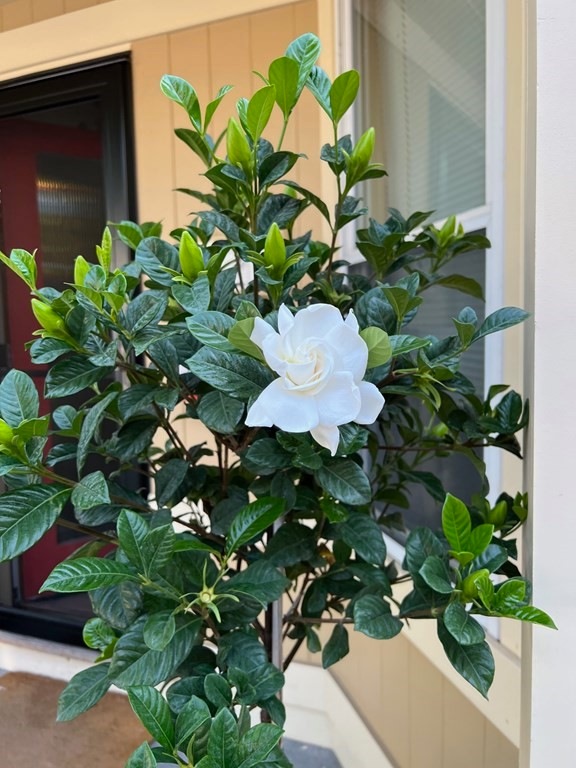 127 Reed St unit 2, Cambridge, MA 02140 - photo 1