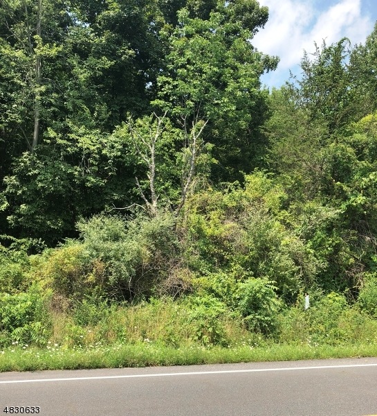 947 Owassa Rd, Newton, NJ 07860 - photo 1