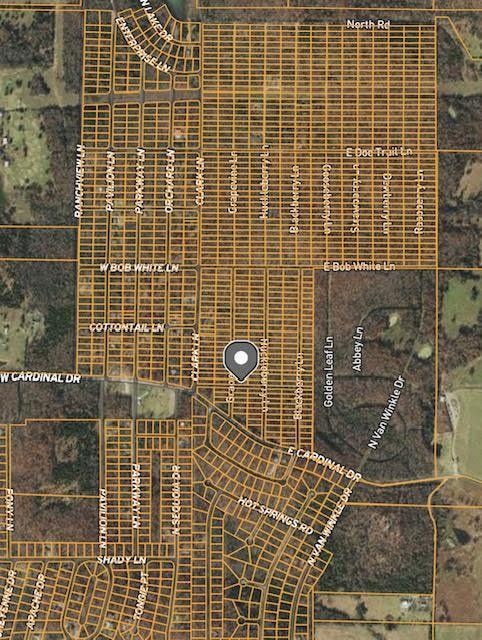 1108 Grapevine Ln, Horseshoe Bend, AR 72512 - photo 1