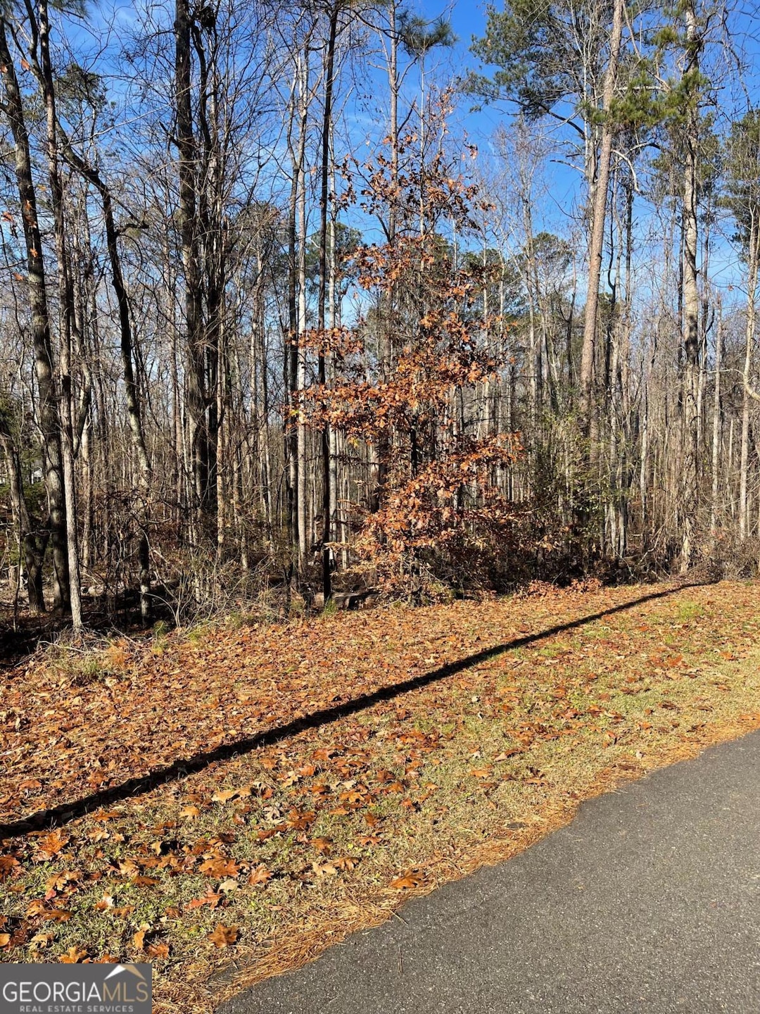 LOT 3 Bow Trail, Woodstock, GA 30188 - photo 1