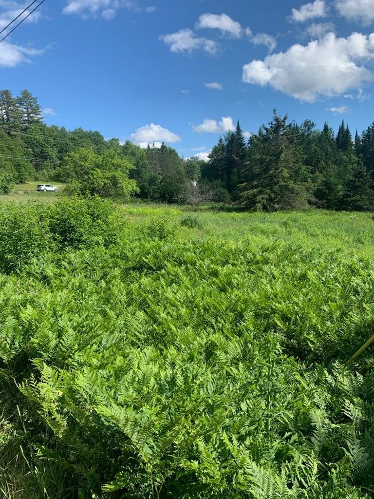 15 Mary Elizabeth Ln unit 15, Lancaster, NH 03584 - photo 1