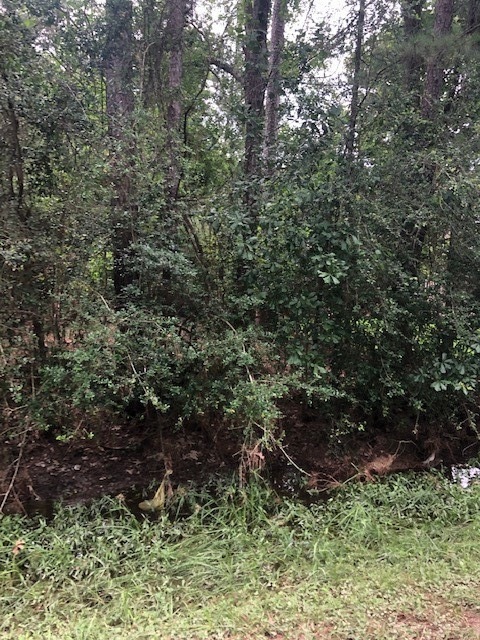 0 Shadberry, Magnolia, TX 77354 - photo 1