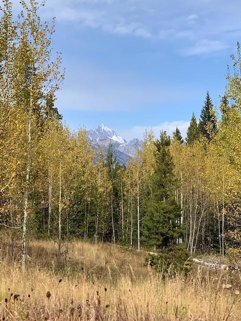 Grand Teton Views