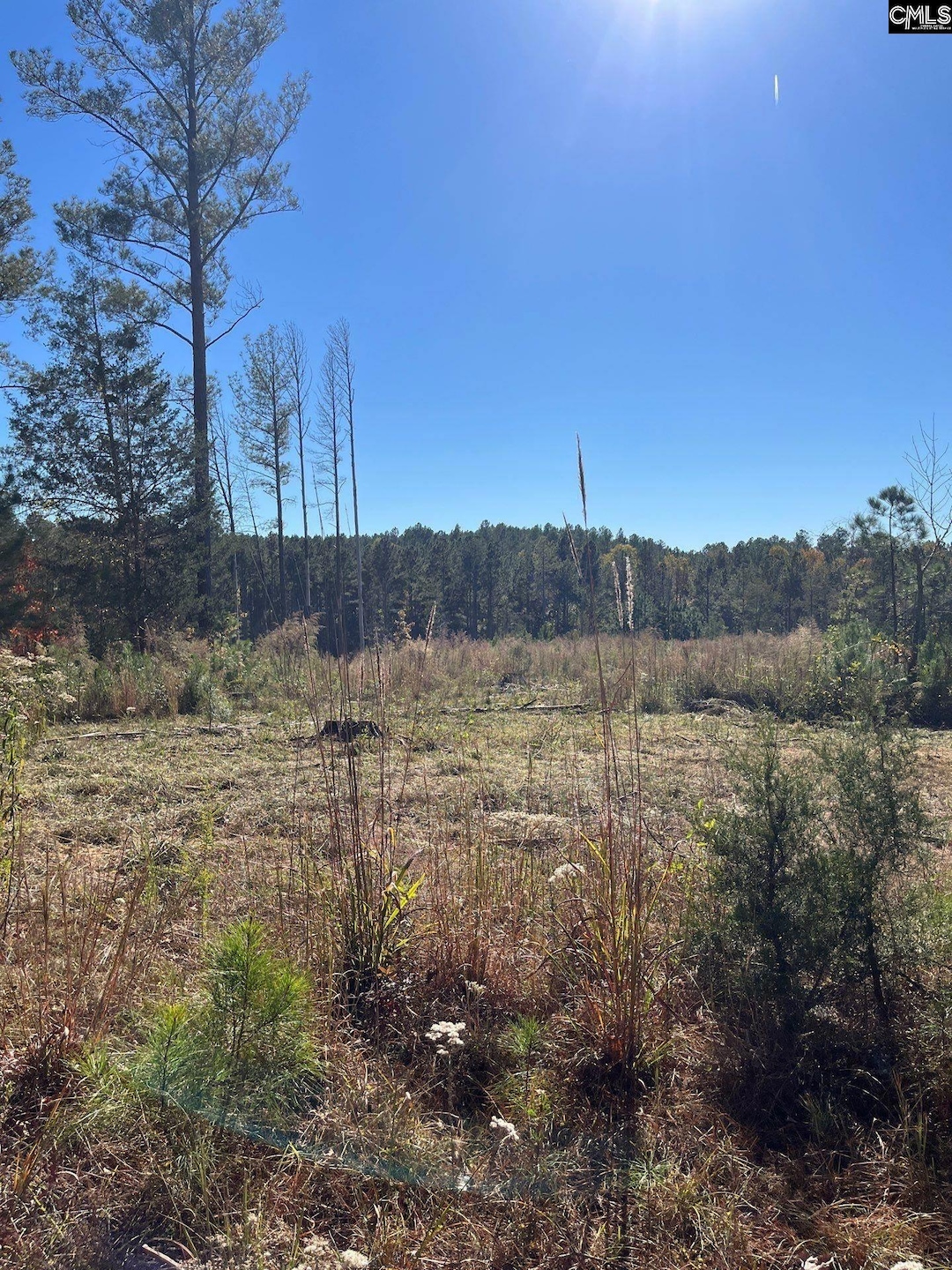 DRF 2 Dawkins Rd unit DRF 2, Pacolet, SC 29372 - photo 1