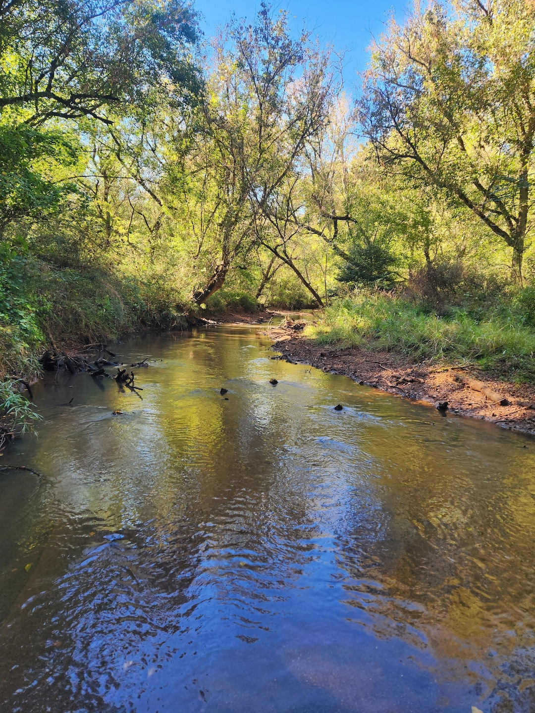 Highway 42, Culloden, GA 31016 - photo 1