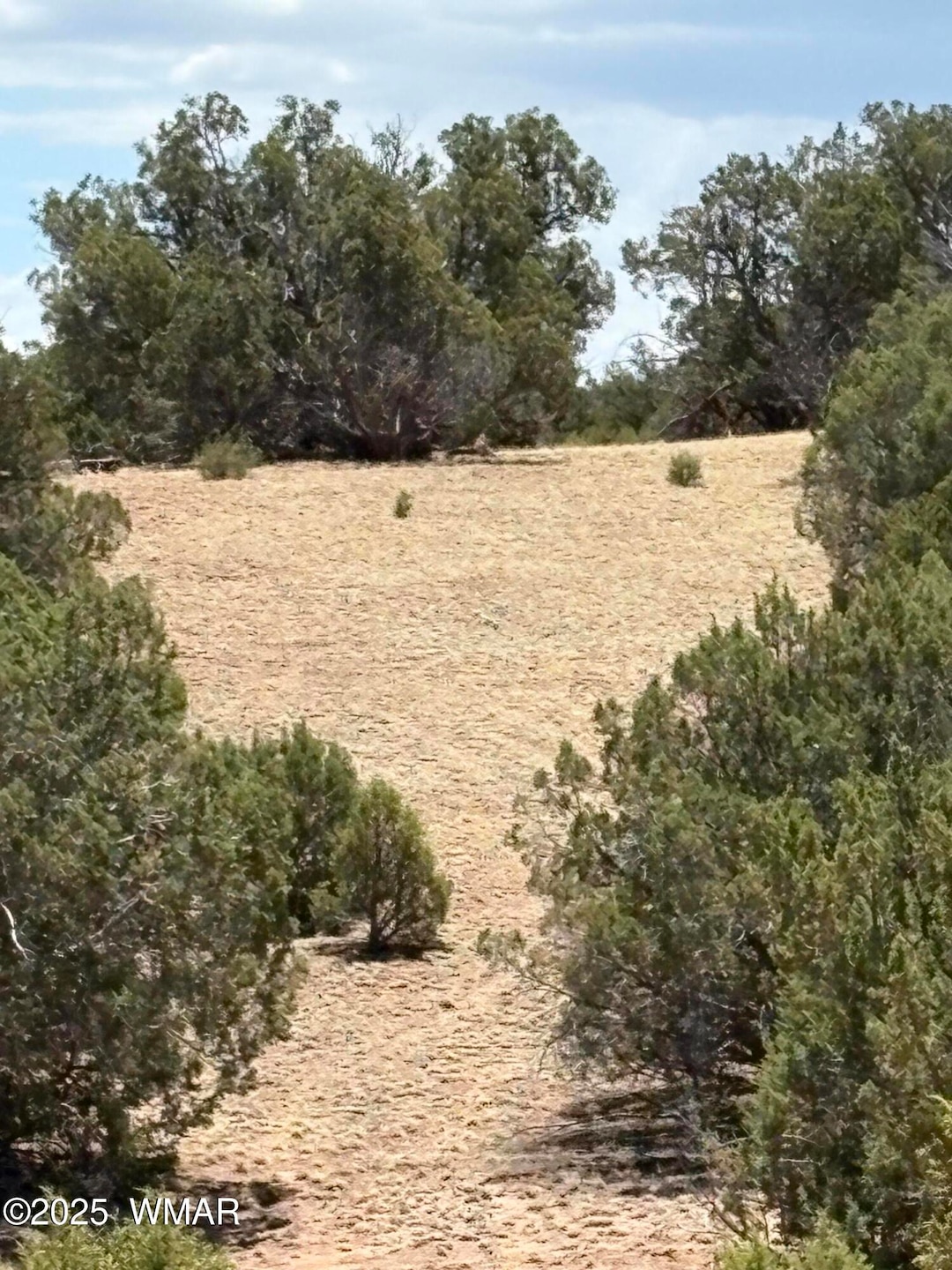 Lots of Potential Home Sites