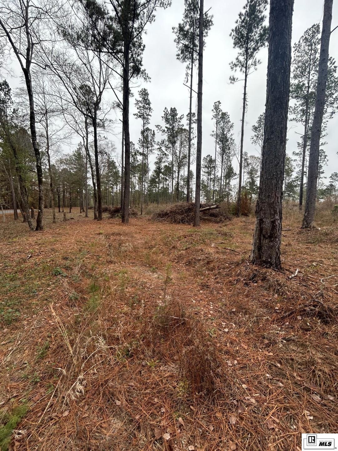 0 Cadeville Cutoff Rd, West Monroe, LA 71292 - photo 1