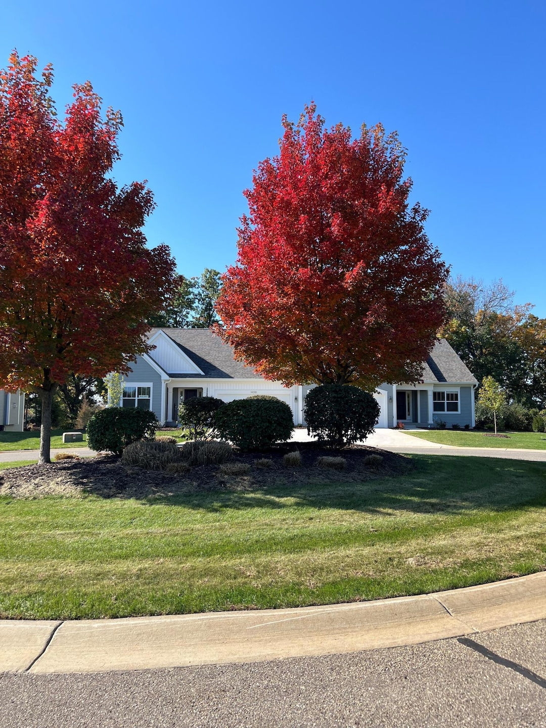 Beautiful fall colors