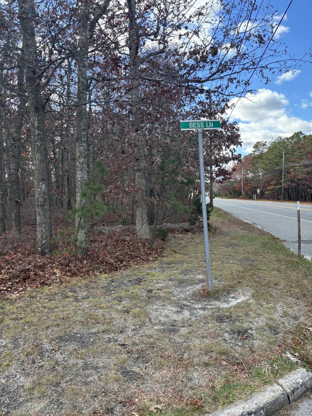 267 and 273 W Montauk Hwy, Hampton Bays, NY 11946 - photo 1