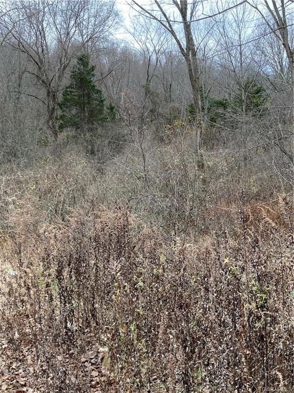 0 Camp Orange Rd unit H6222372, Wallkill, NY 10941 - photo 1