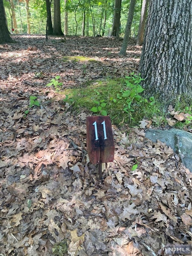 11 Duck Pond Rd, Alpine, NJ 07620 - photo 1