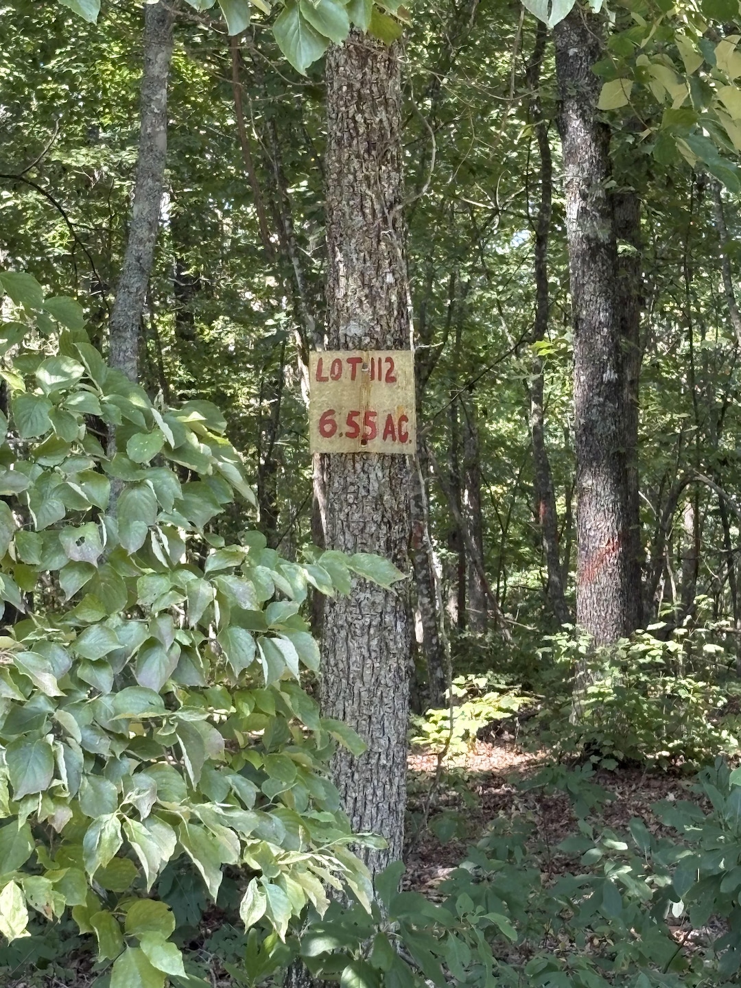 Broken Arrow, Raymondville, MO 65542 - photo 1