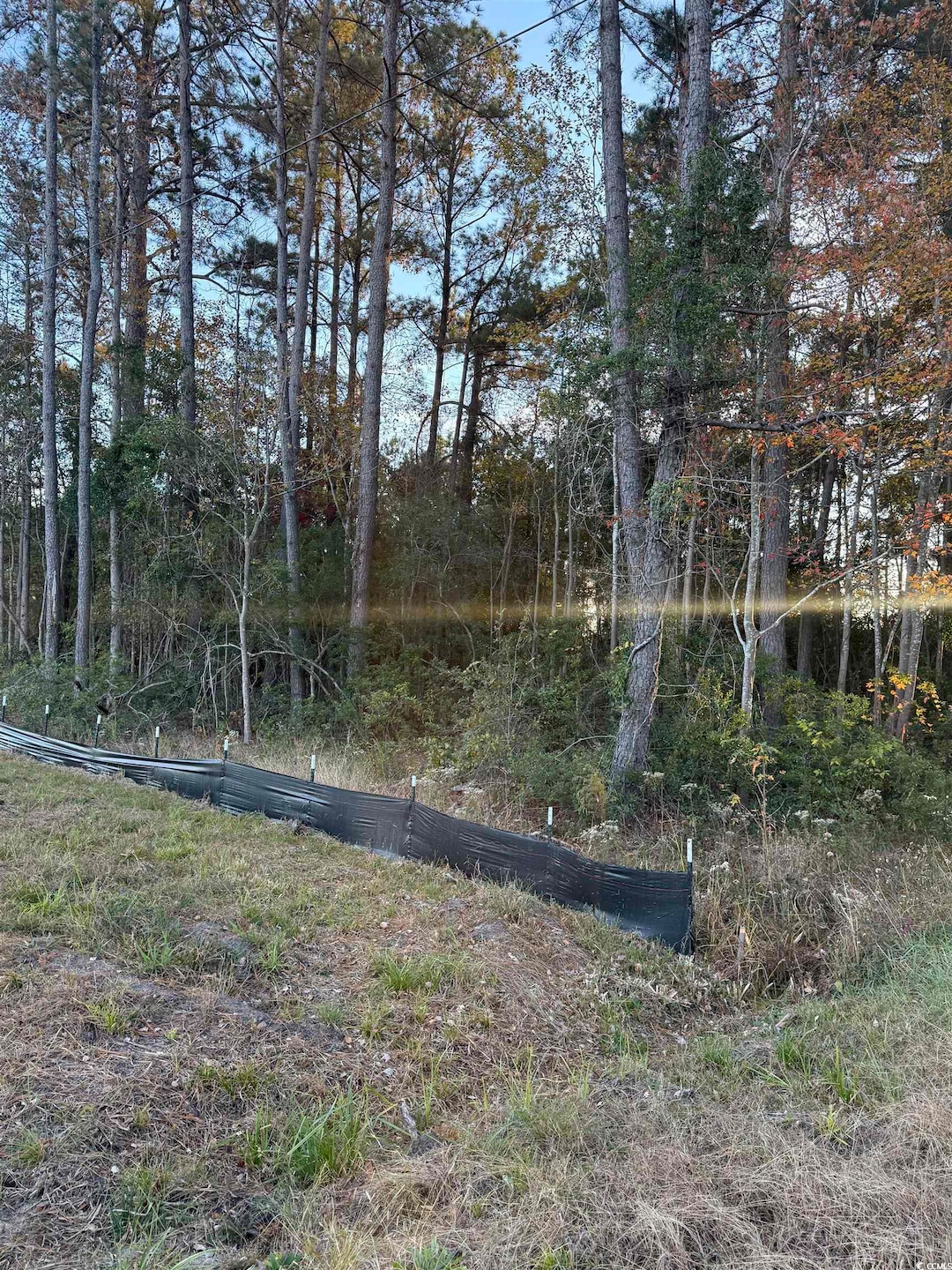 Lot 1 & 2 College Park Rd unit COLLEGE PARK, Conway, SC 29527 - photo 1