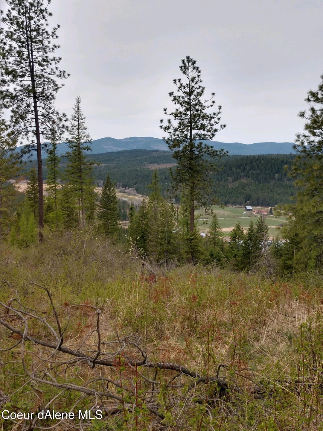 NNA Cider Rd, Athol, ID 83801 - photo 1