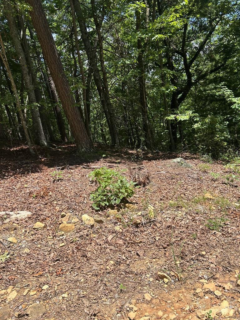 0 Skyview Acres Dr unit 417622, Murphy, NC 28906 - photo 1