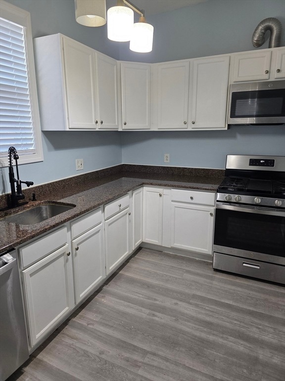 102 Mount Pleasant Ave unit 1, Roxbury, MA 02119 - photo 1