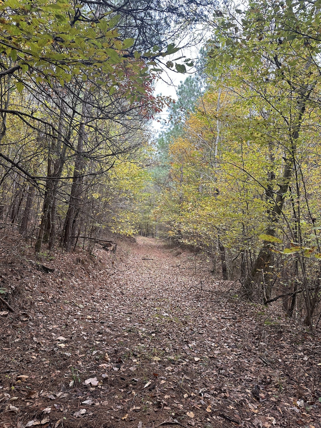 316 Arbor Rd, Linden, TN 37096 - photo 1