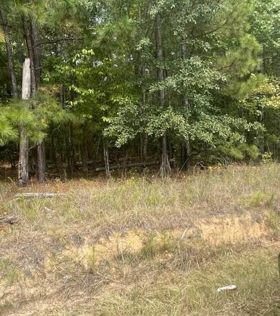 Lot 5 Comanche Cir, Lincolnton, Ga 30817 