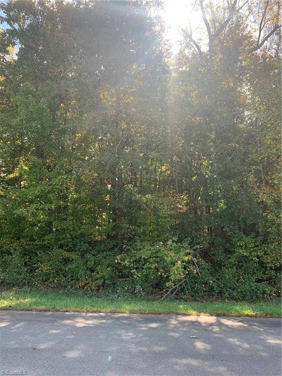 0 Jennifer View Dr unit 999299, Grant, NC 27205 - photo 1