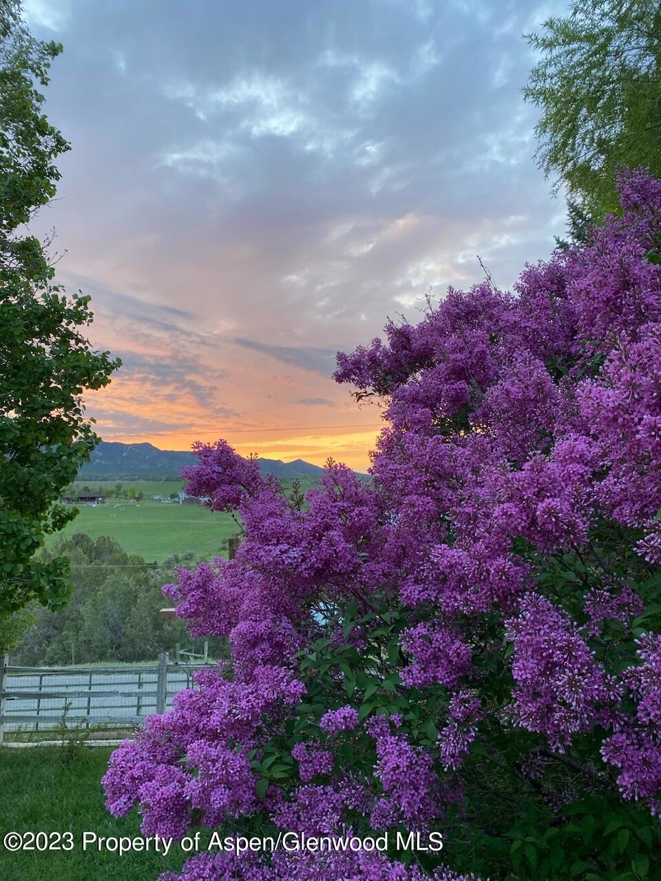 View from the deck