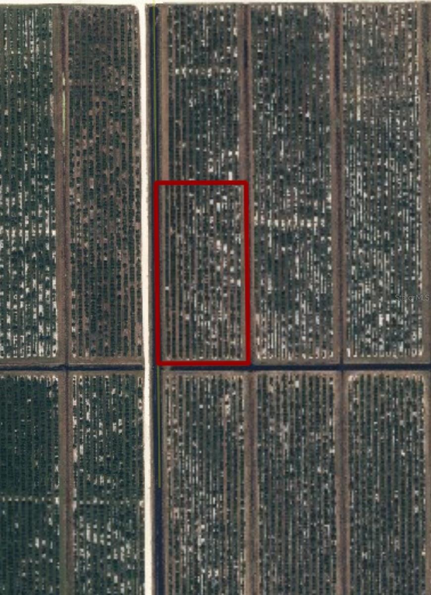 0 NE Highway 70 unit MFRA4662863, Arcadia, FL 34266 - photo 1