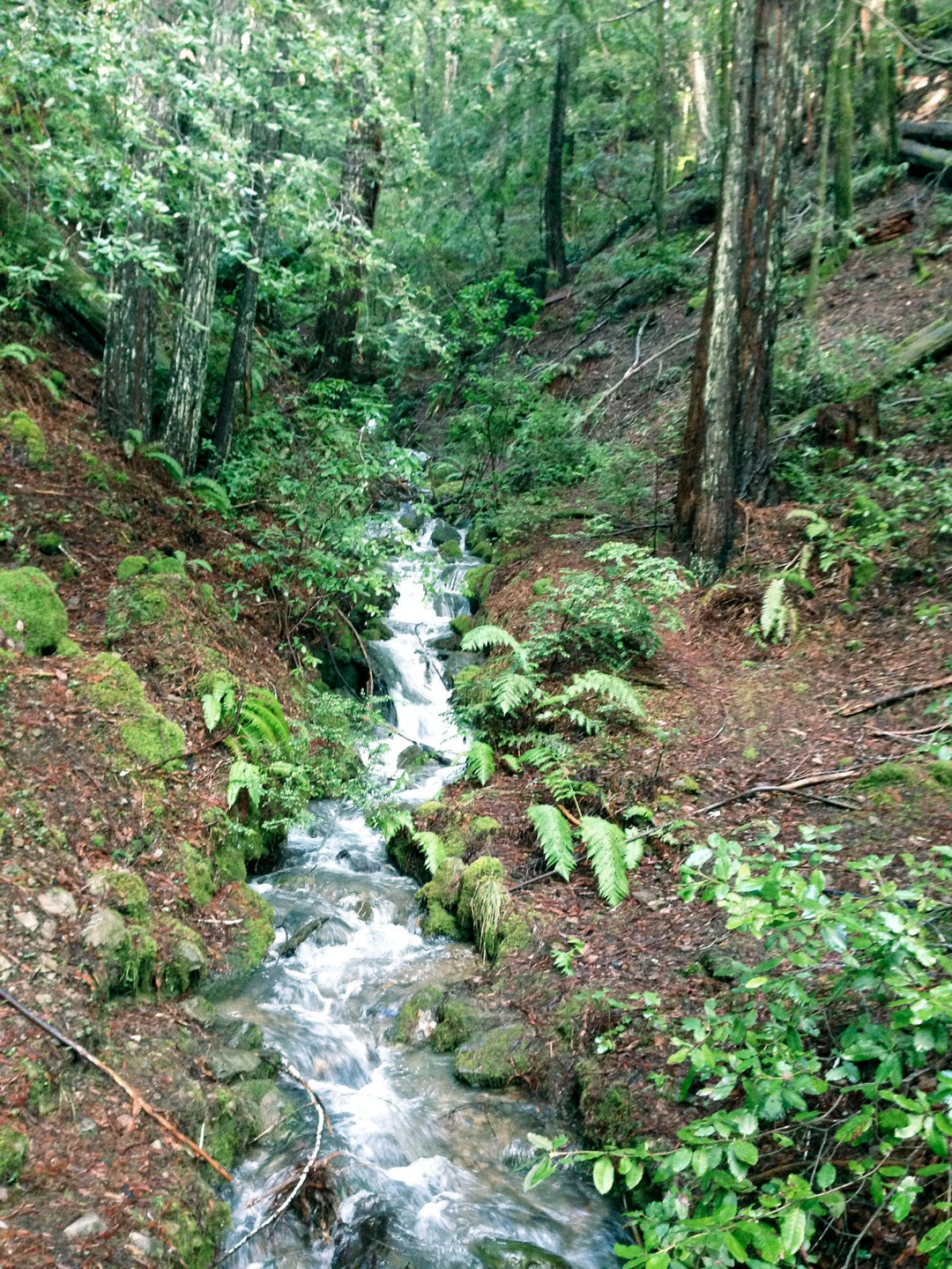 The Falls