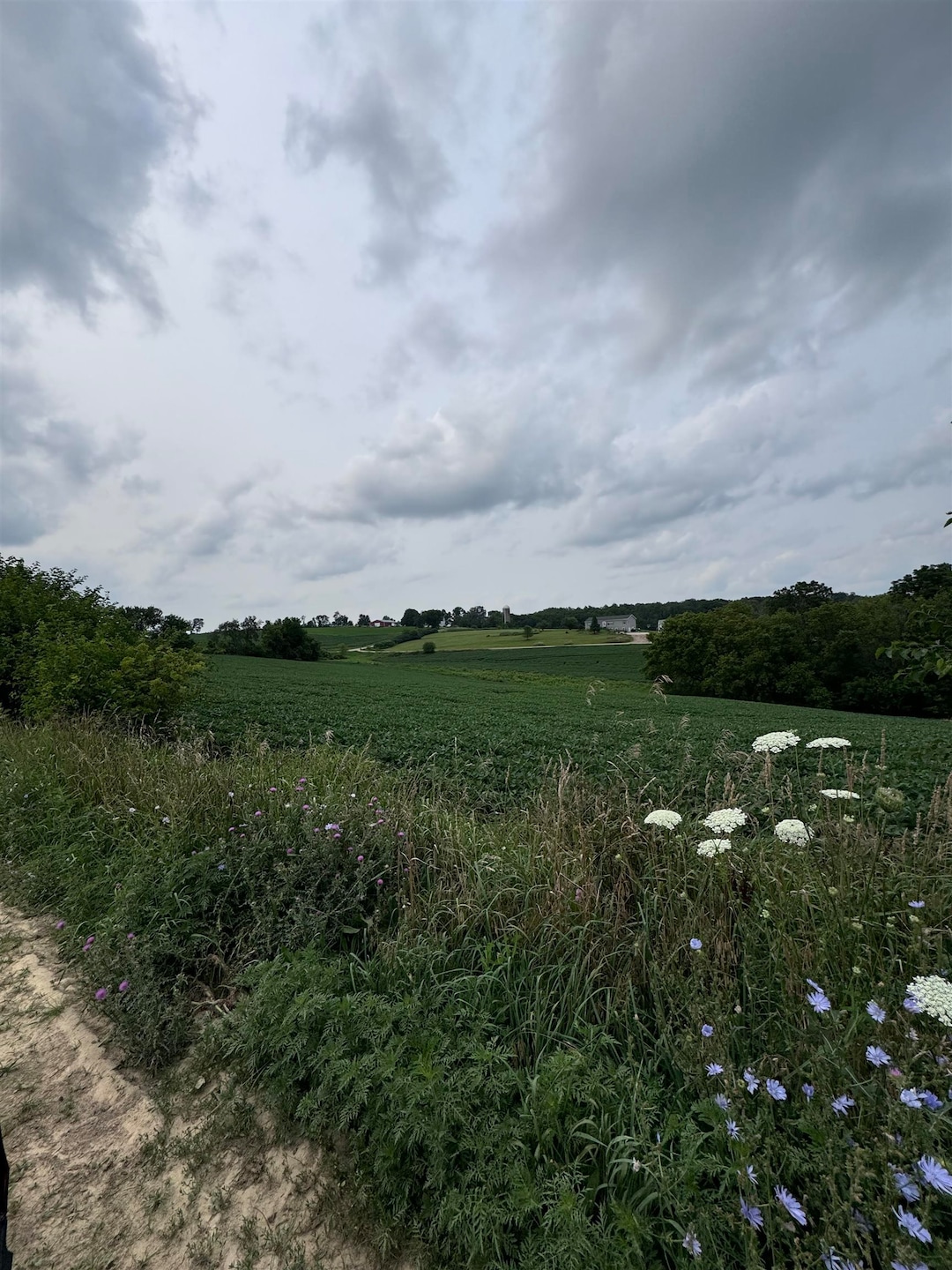 L3 Skinner Hollow Rd, Adams, WI 53566 - photo 1