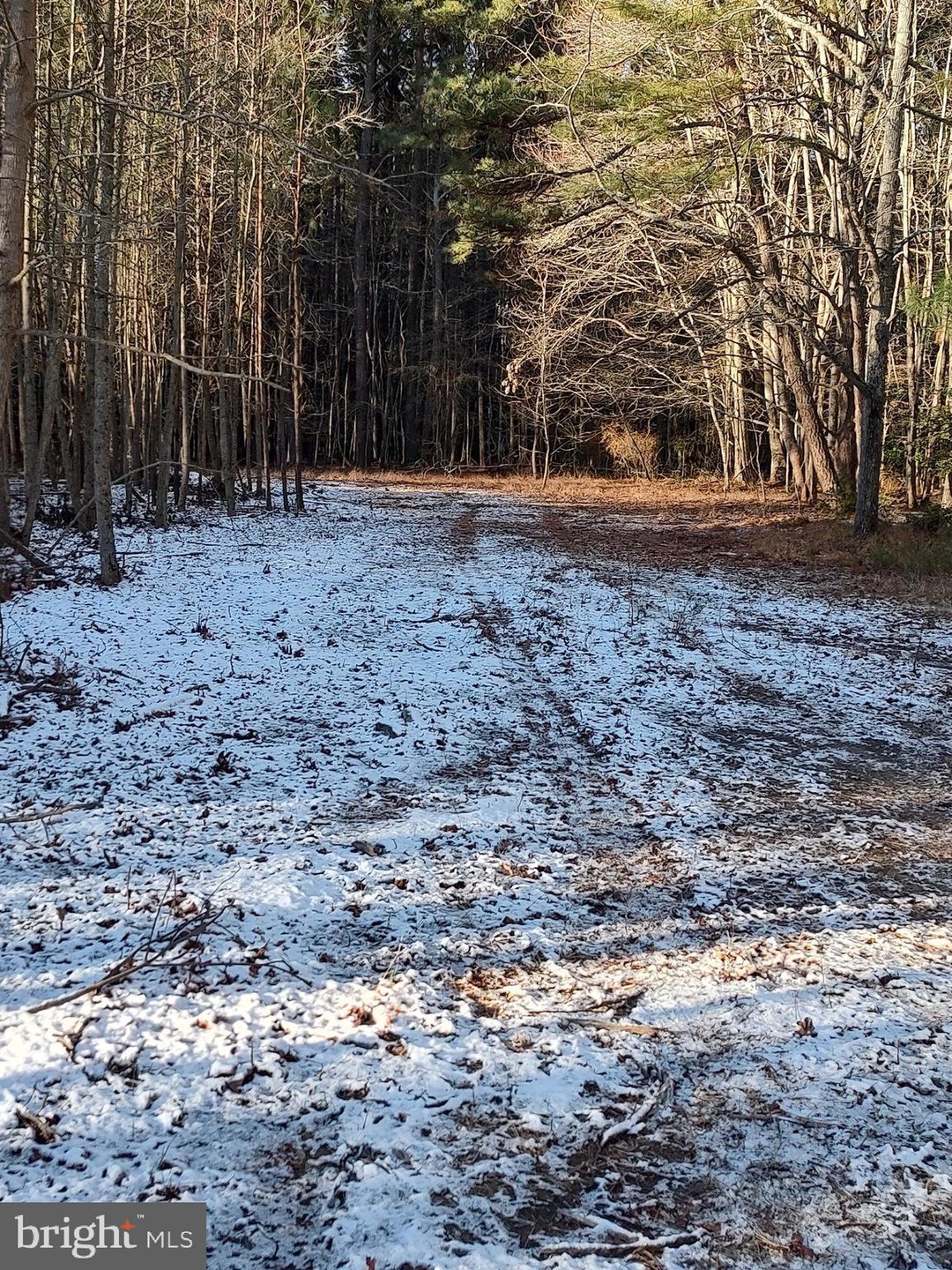 0 Aireys Rd unit MDDO2008728, Cambridge, MD 21613 - photo 1