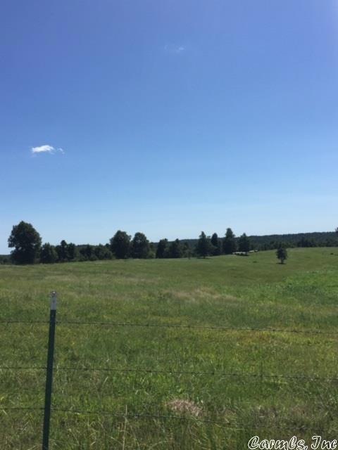 195 ACRES Greene Road 145, Beech Grove, AR 72412 - photo 1