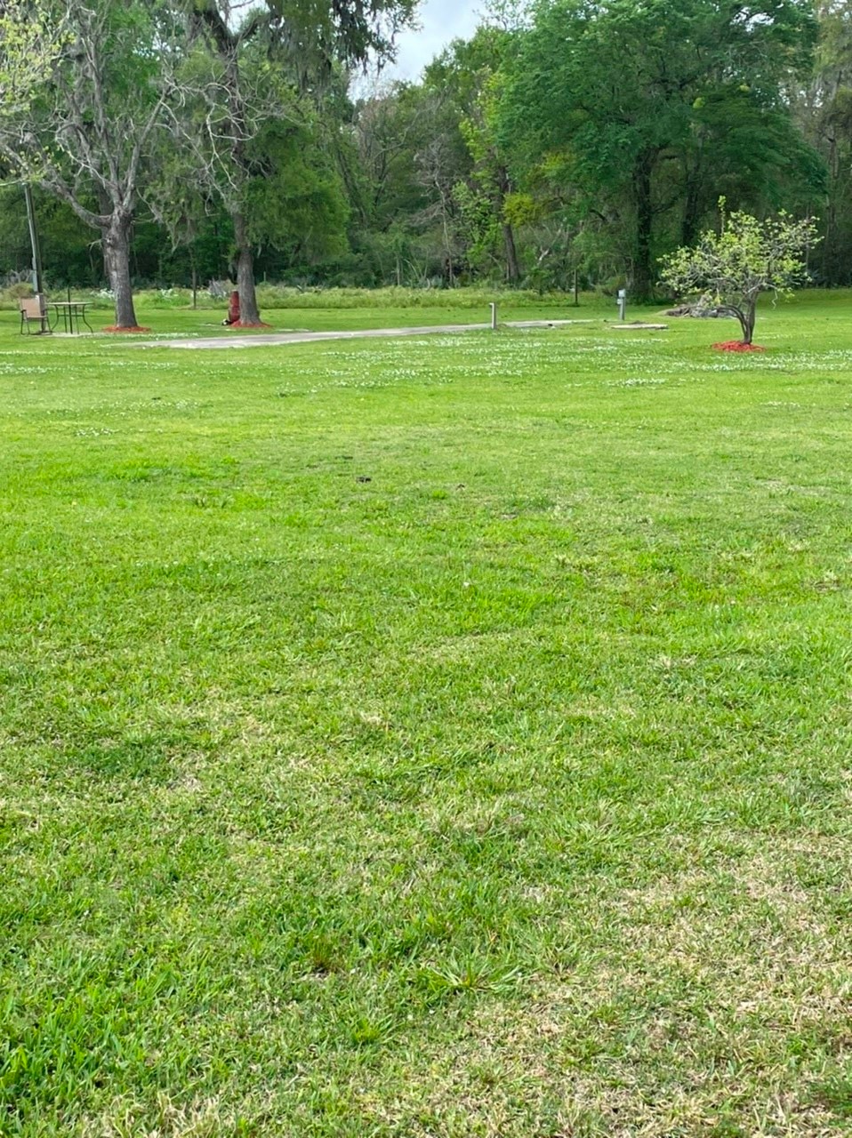 17288 County Road 945b, Brazoria, TX 77422 - photo 1