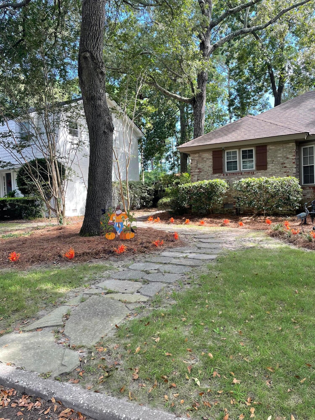 Photo Oct 01 2023, 2 26 03 PM