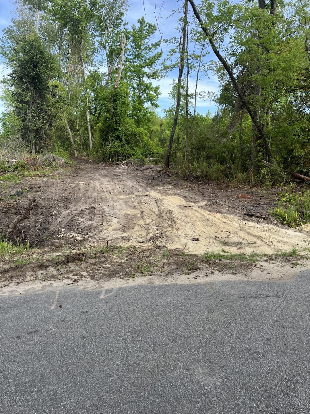 277 Herndon St, Walterboro, SC 29488 - photo 1