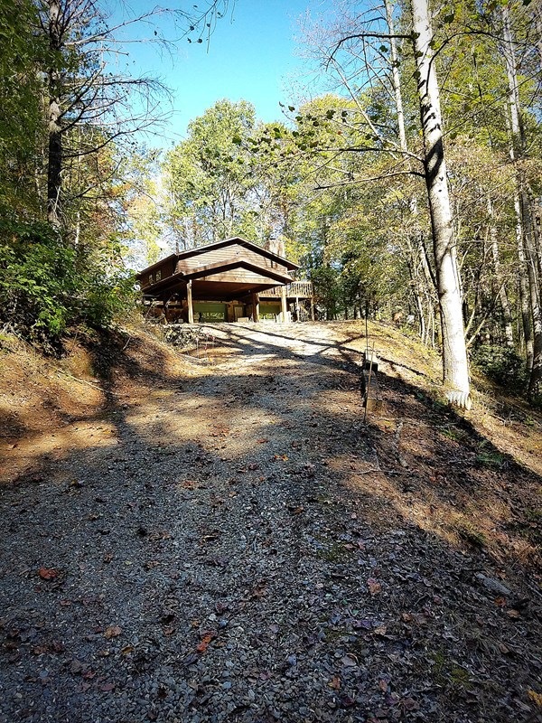 Main View