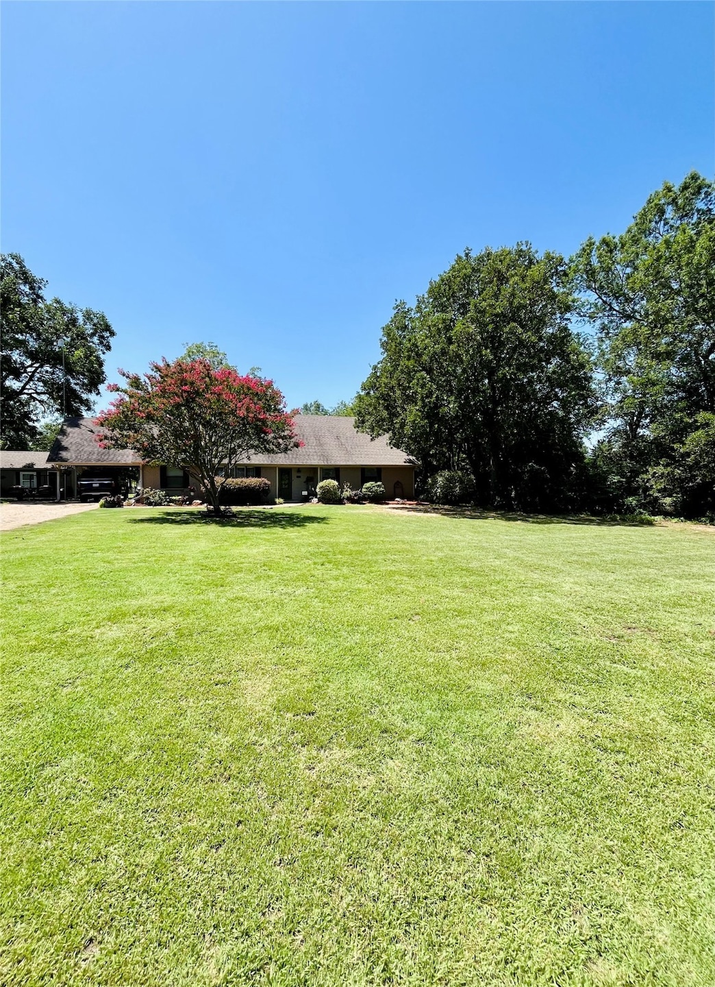 View of grassy front yard