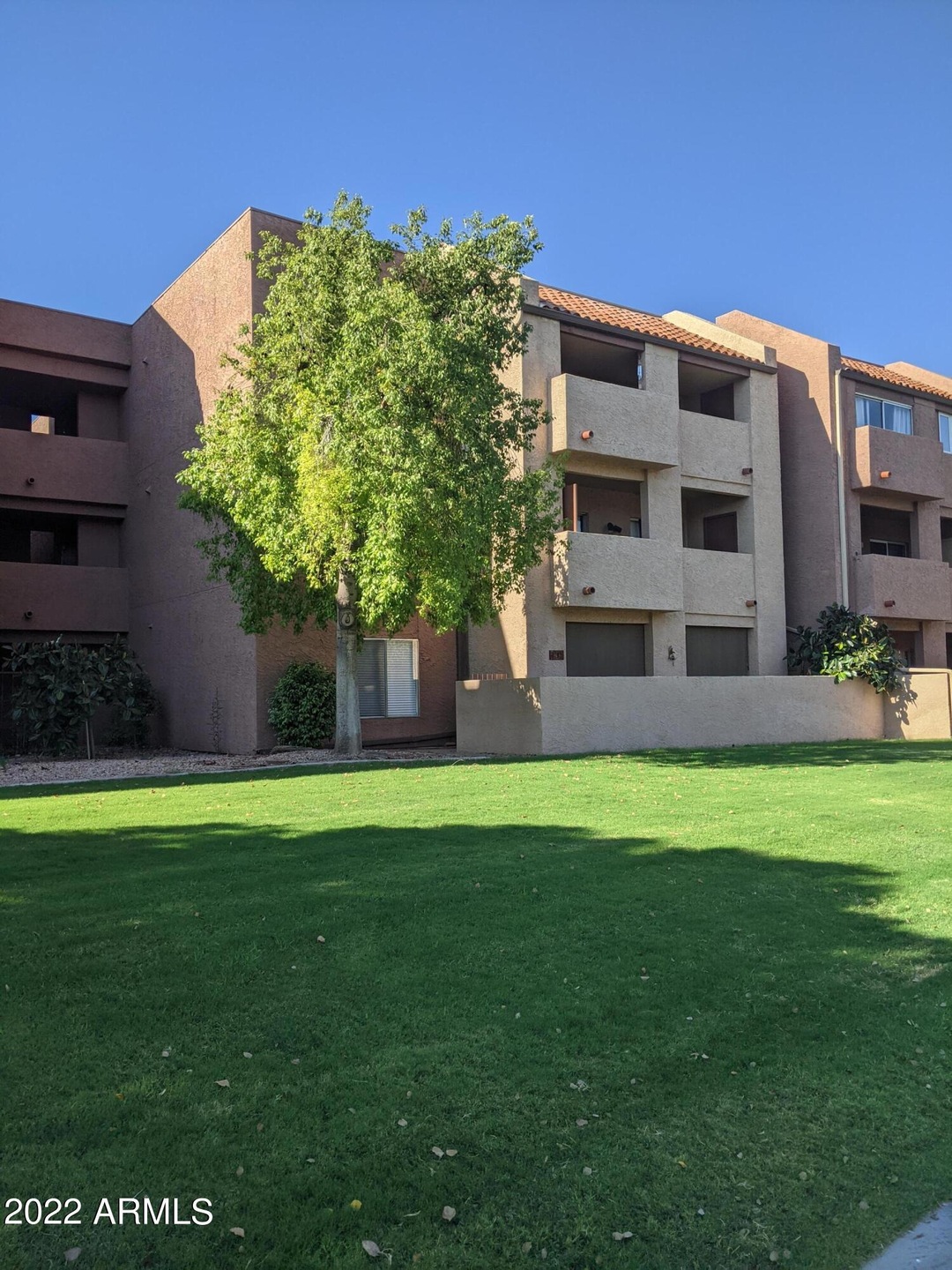 Main View