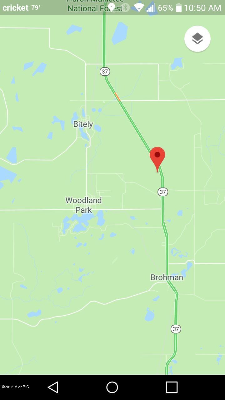 9577 N Woodbridge Rd, Bitely, MI 49309 - photo 1