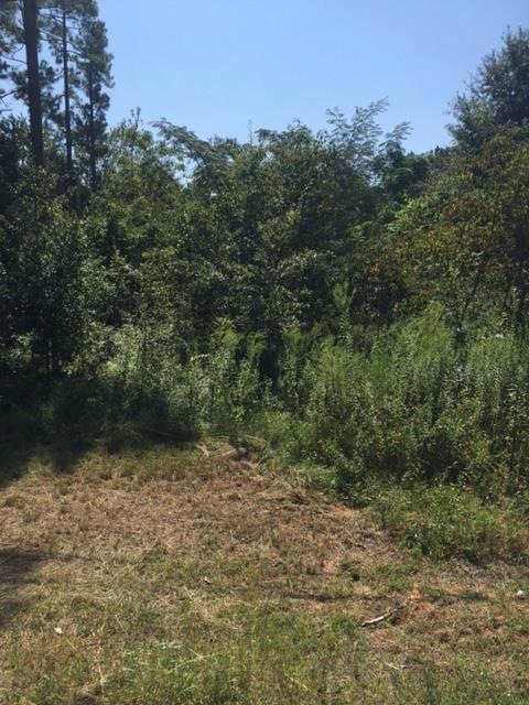 1410 Lily Pond Rd, Albany, GA 31701 - photo 1