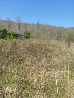 1112 Covered Bridge Rd, Wallingford, KY 41093 - photo 1