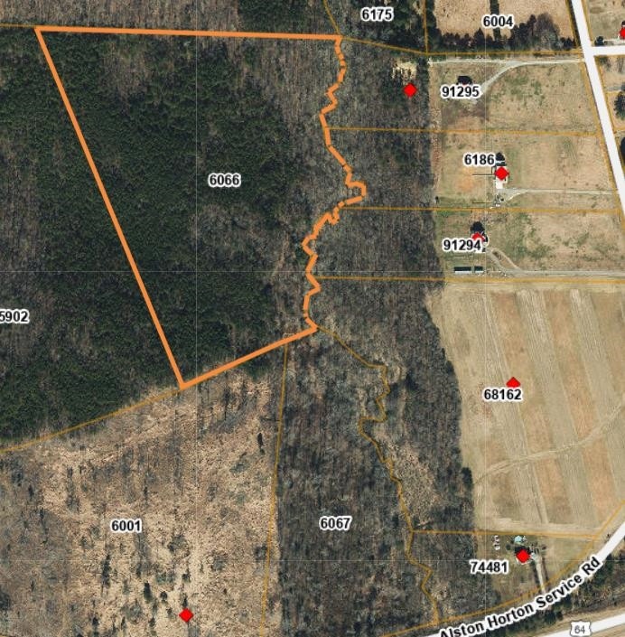 350 Alston Horton Service Rd, Pittsboro, NC 27312 - photo 1