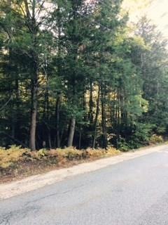 0 Burnham Rd unit 1240721, Bridgton, ME 04009 - photo 1