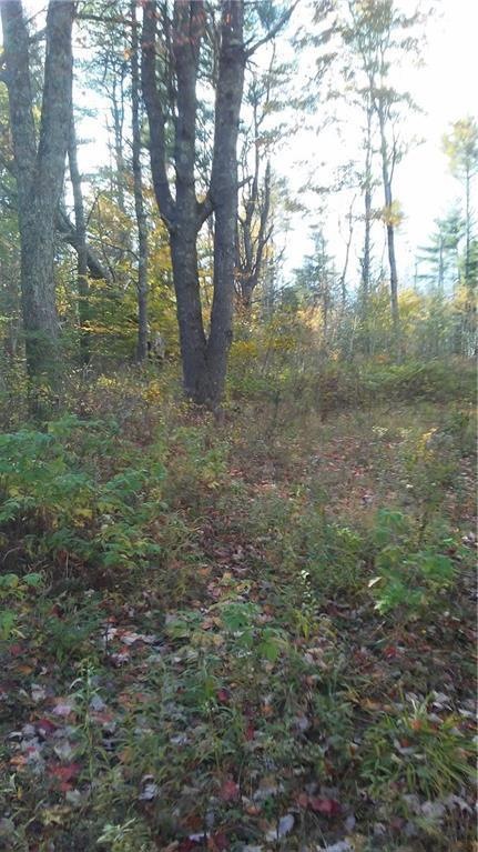 Partially cleared path leading into...