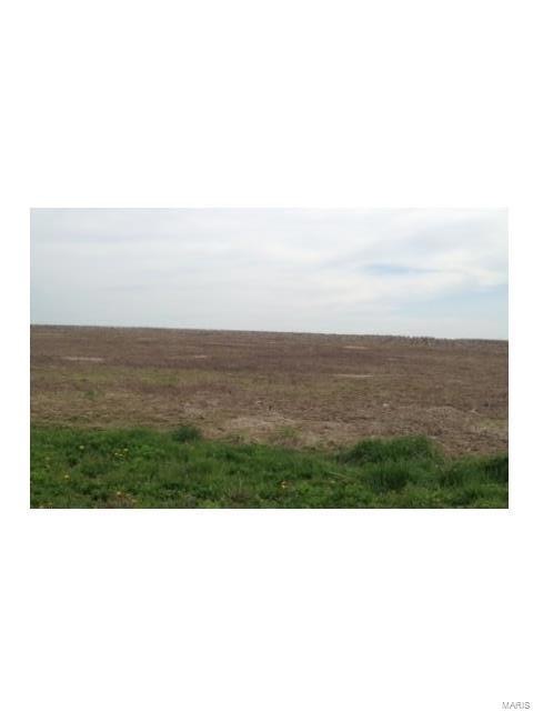 0 Yvette Place unit 17039067, Jerseyville, IL 62052 - photo 1