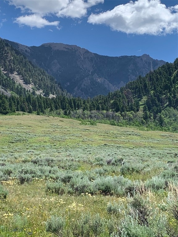 Tracts 3 & 4 in Sportsman's Paradise - Access to N