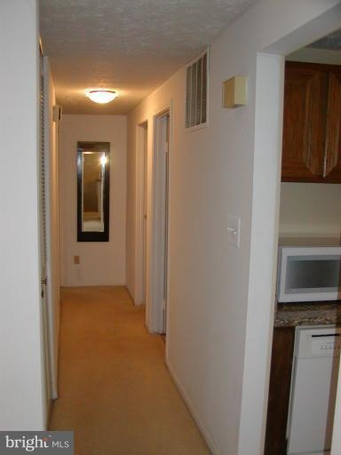 6110 Mantle Rd, Burke, VA 22015 - photo 1