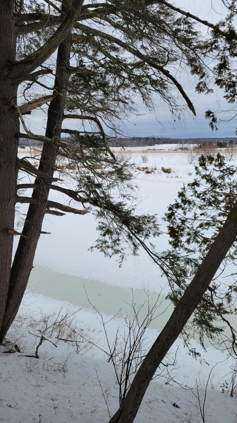 Map 12 Lot 24 (17)